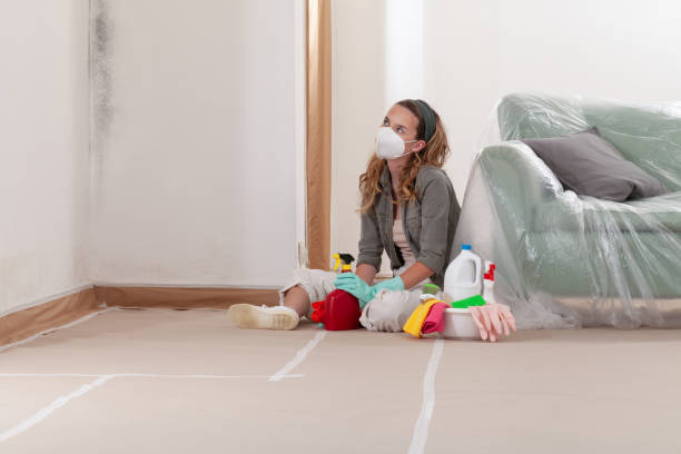 Reliable Mold Cleanup contractor in Mount Laurel, NJ by Cheap Mold Removal